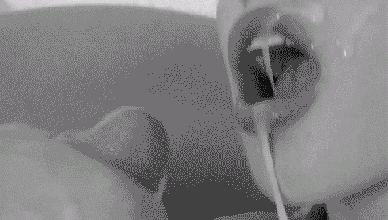 Que rico, se me antojó esa lechita. ¿Alguien me quiere dar