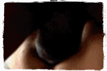PostNo.33