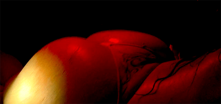 Gifs Porno variados (sexo rebelde) II