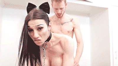 Trans, trans y más trans (GIF Compilado)