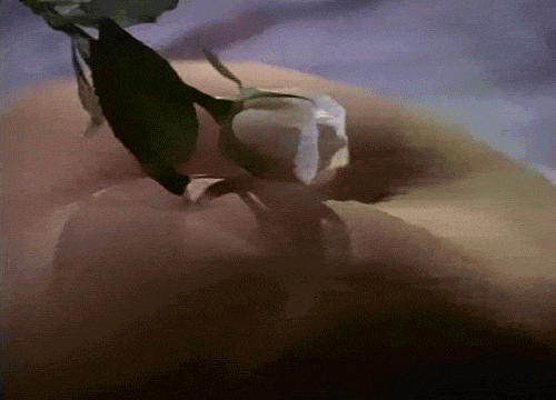 Gifs Pornograficos Aleatorios