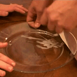 Gatitas toman la leche