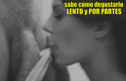 GIF con captions propios III