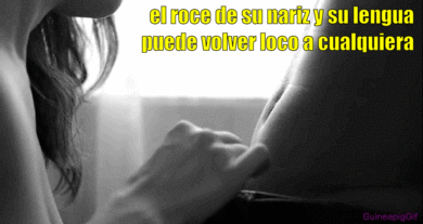GIF con captions propios IV