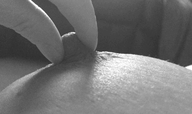 gifs.para agarrotar toronjas