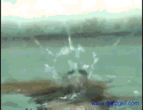 bajo el agua 1