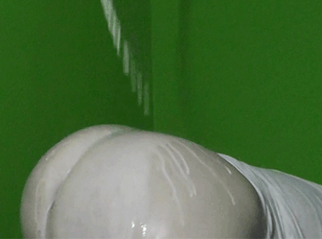 Todo tipo de leche ñam ñam!