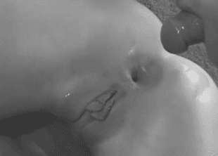 Sexo con culos! 2ª parte