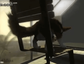 Gifs de dibujos animados porno #5