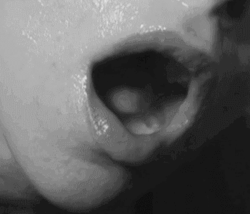 Mucha leche