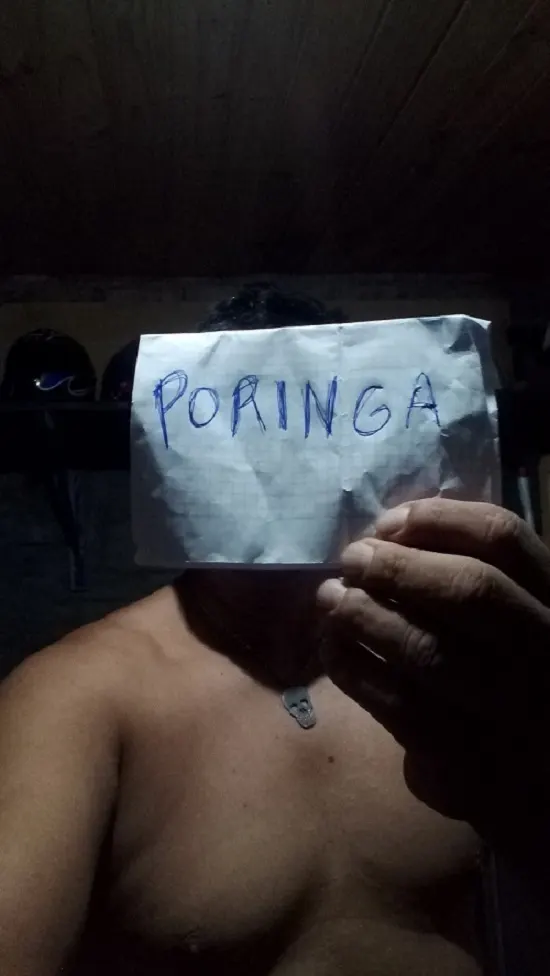 perrito