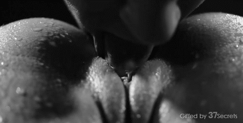 GIFs primeros planos divinos!