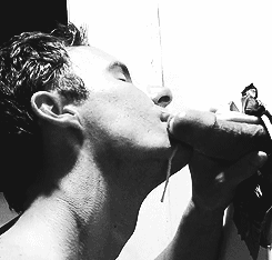 Gif gay 01