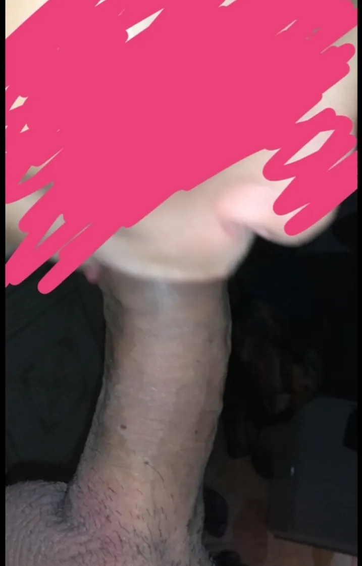Seguimos con mi perra tia