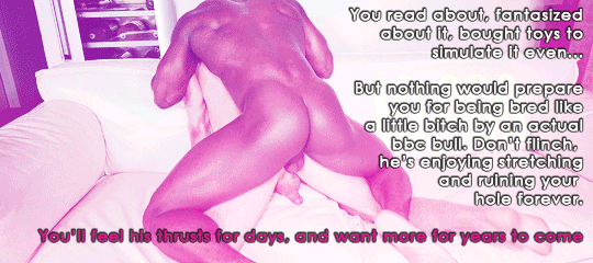 Sissy Captions 25