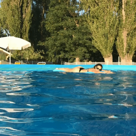 Belen francese gif