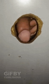 Variado 2