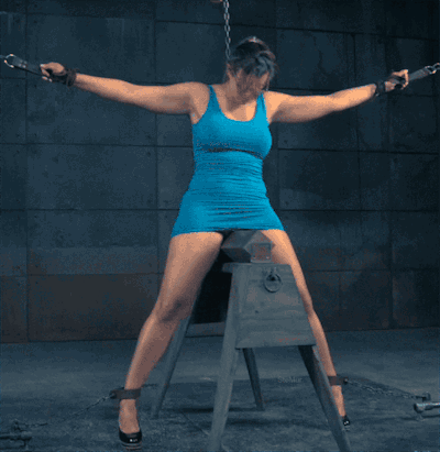 Perras bien usadas (gif)