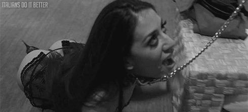 Perras bien usadas (gif)