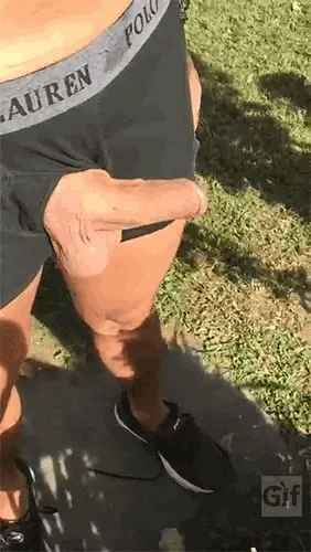 Gif 1