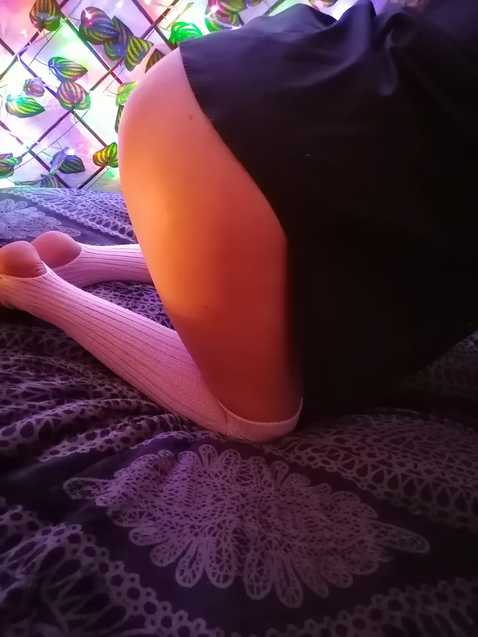 Estoy de regreso