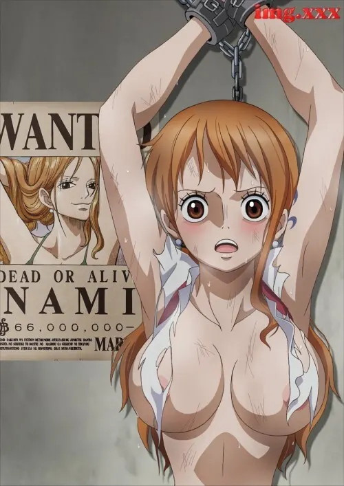 Material H: One Piece Vol.2