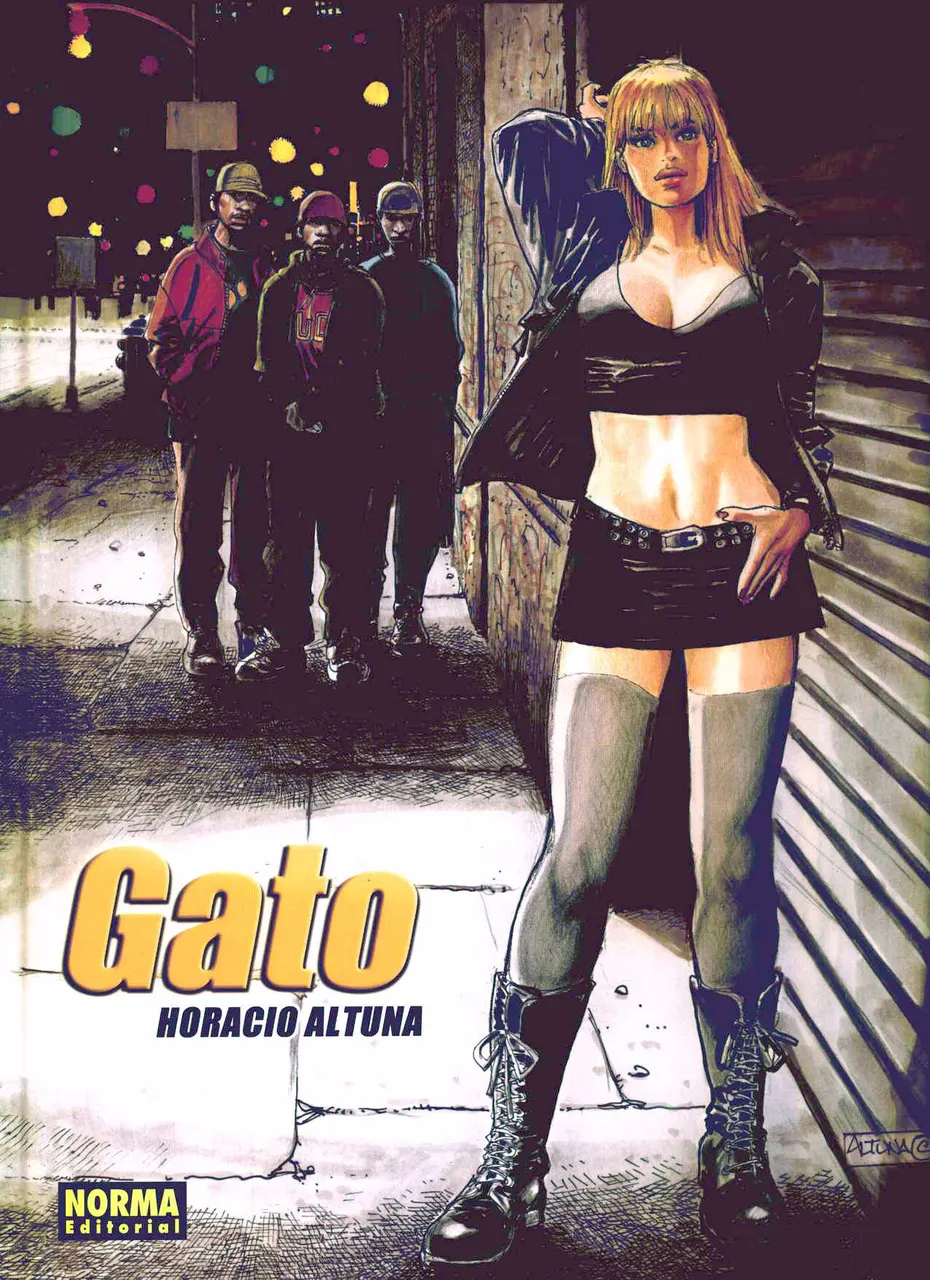 El gato