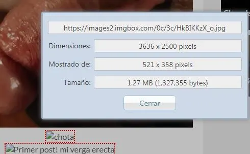 Primer post! mi verga erecta
