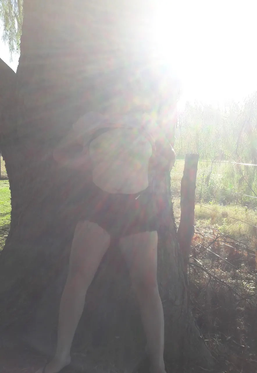 Aire libre !
