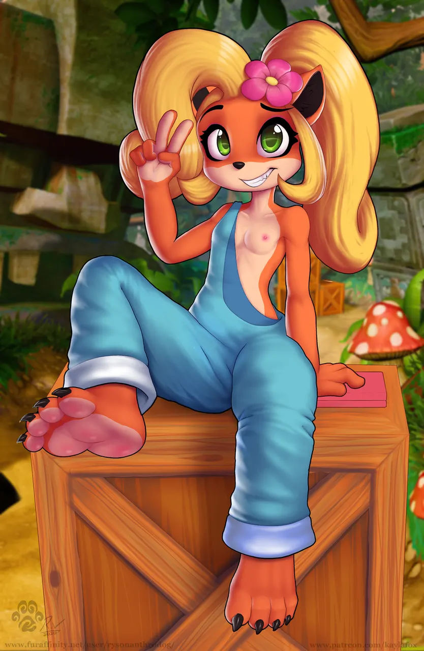 Material H Crash Bandicoot: Coco Bandicoot