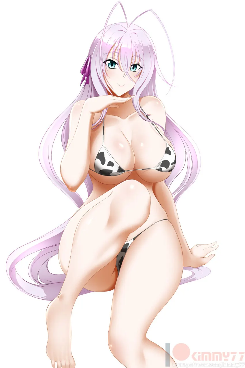 Material H: High School DxD Vol.2