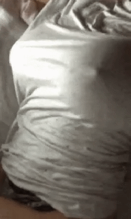 Gif 4