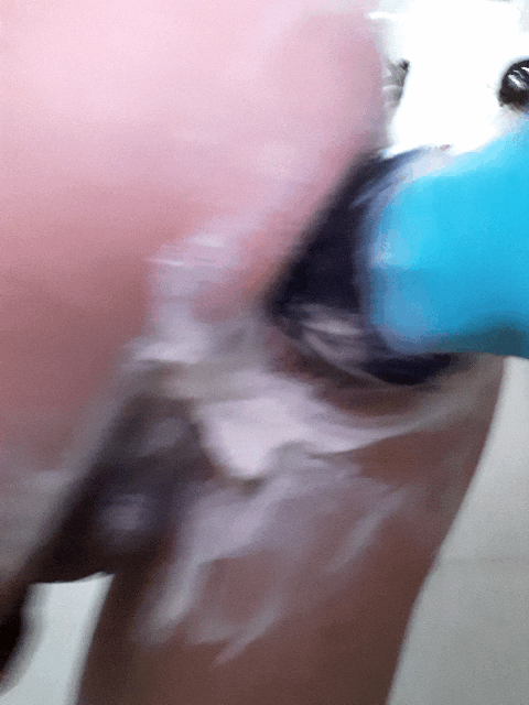 Jueves de lujuria anal🤤🤤🤤 03/09/2020