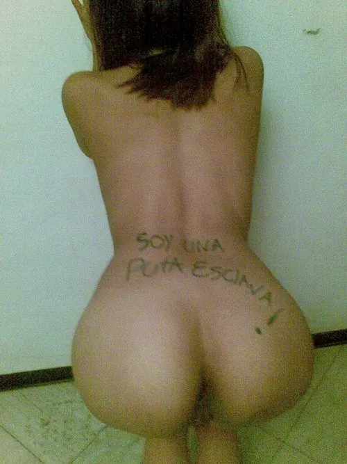 Sam gatita obediente