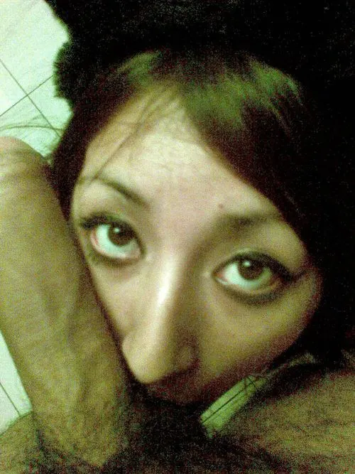 Sam gatita obediente