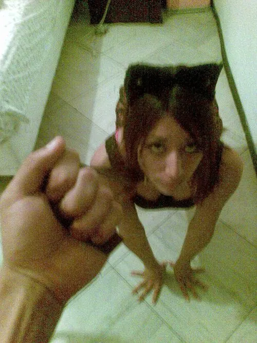 Sam gatita obediente