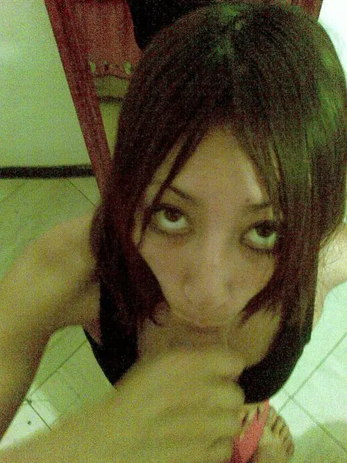 Sam gatita obediente