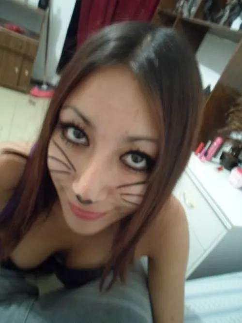 Sam gatita obediente