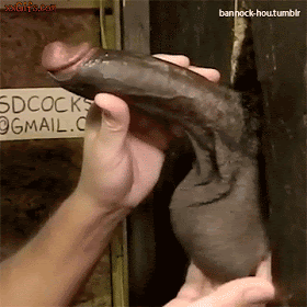 Estos Gifs te van a explotar la cabeza 10...!!!