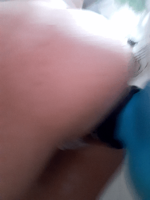 Super consolador anal en la ducha