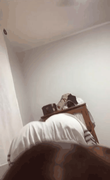 El paraíso de Tik Tok 2