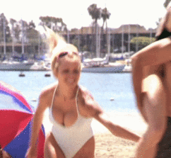Variedad de gifs