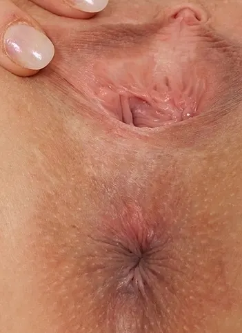 Panaco y Conchita y ortitos