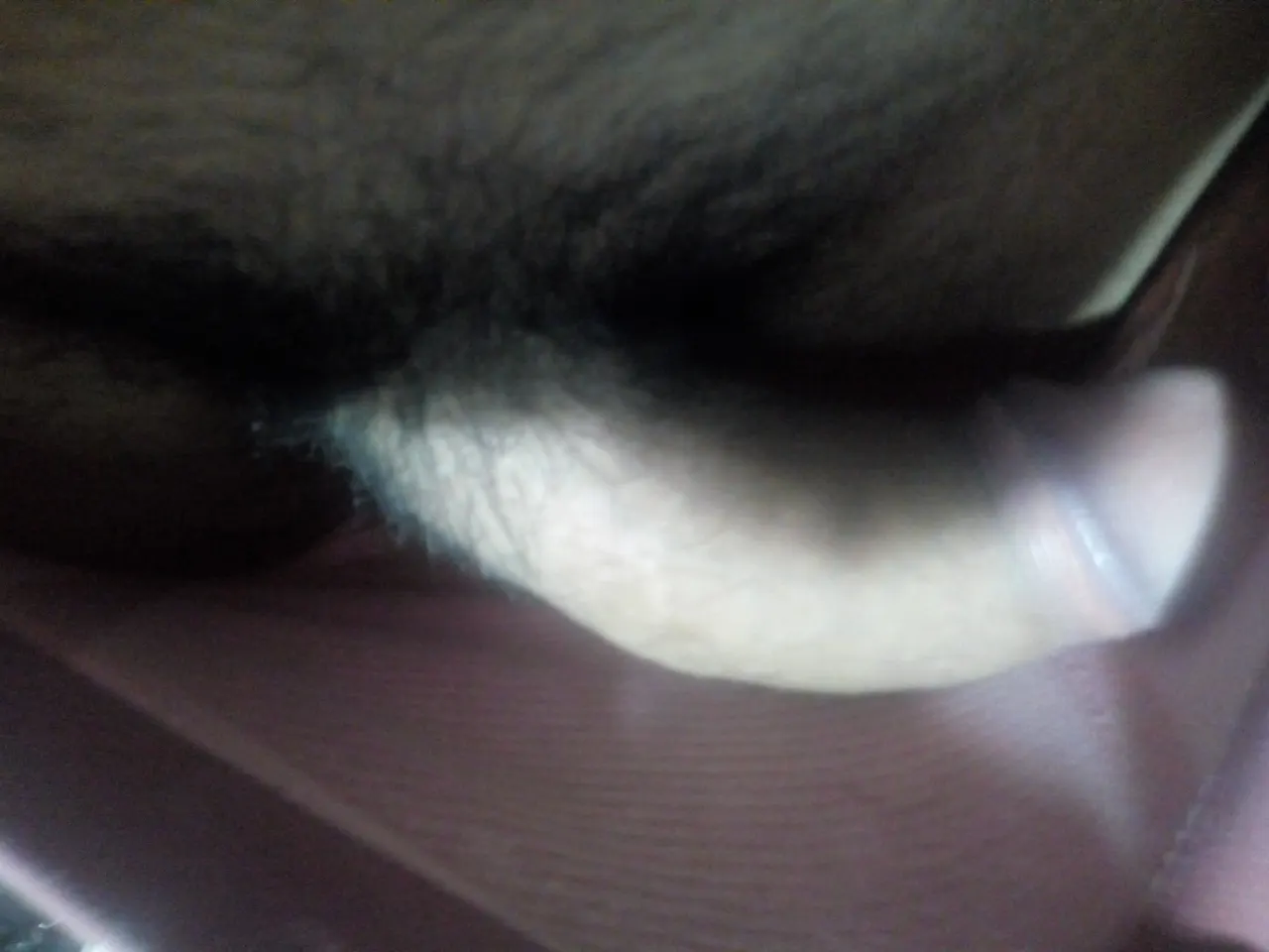 Aburrido y caliente