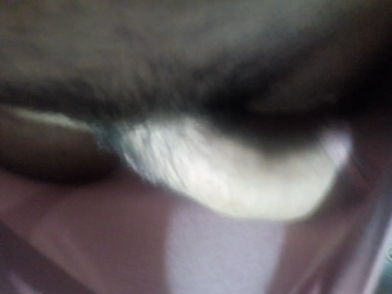 Aburrido y caliente