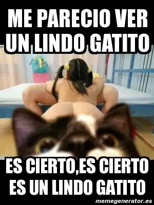 Día Internacional del Gato