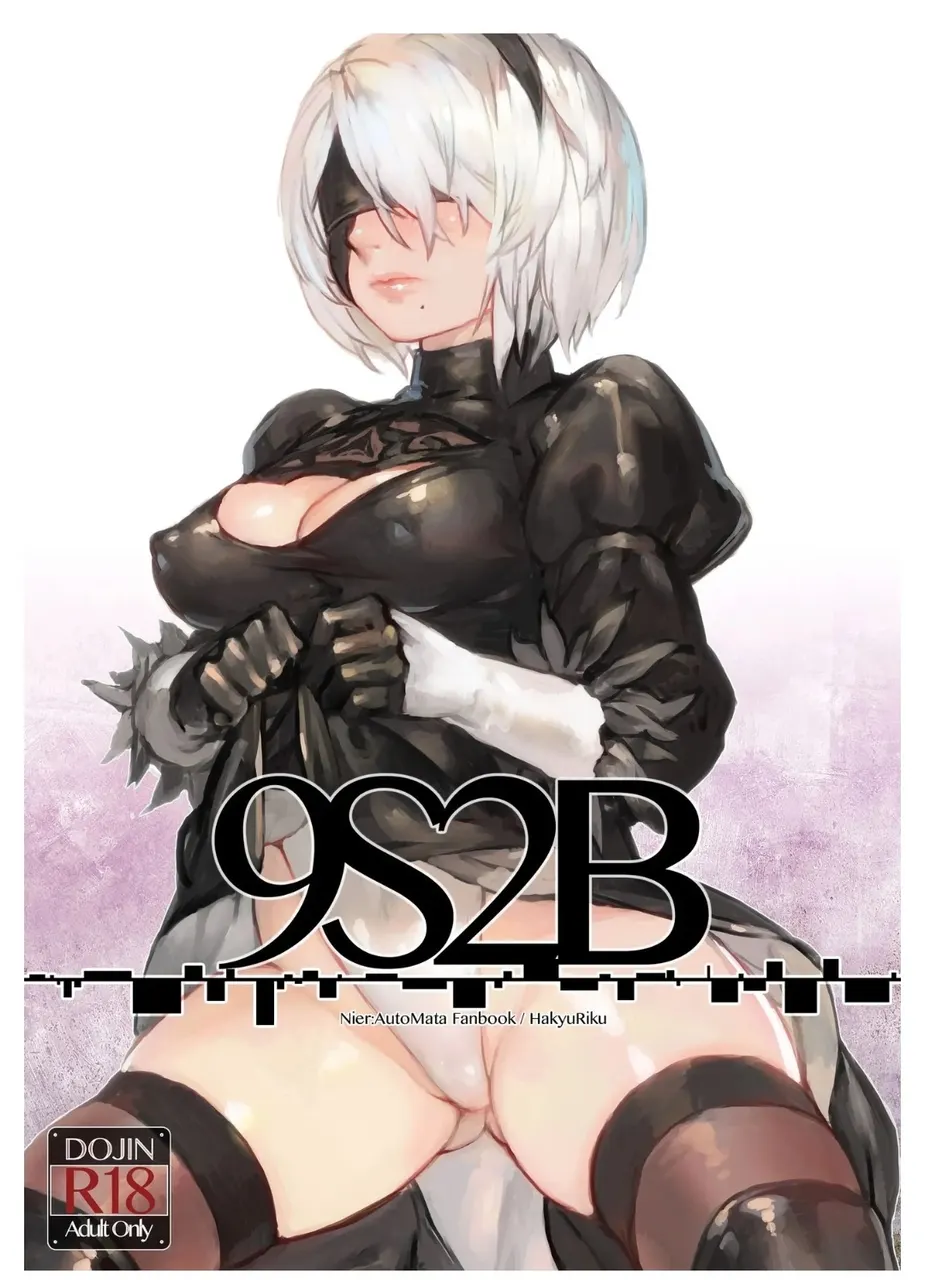 A29S2B