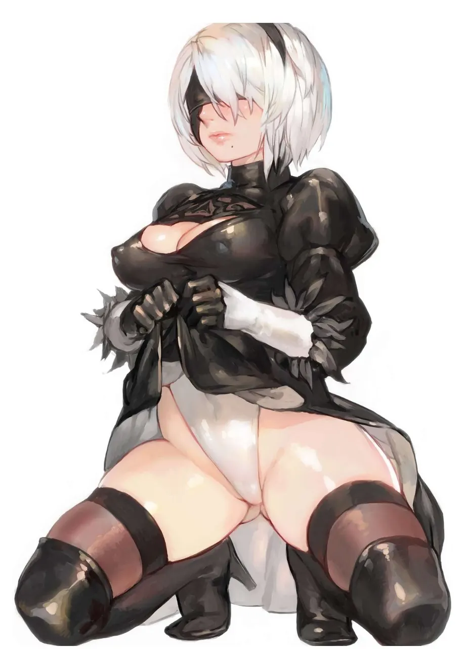A29S2B