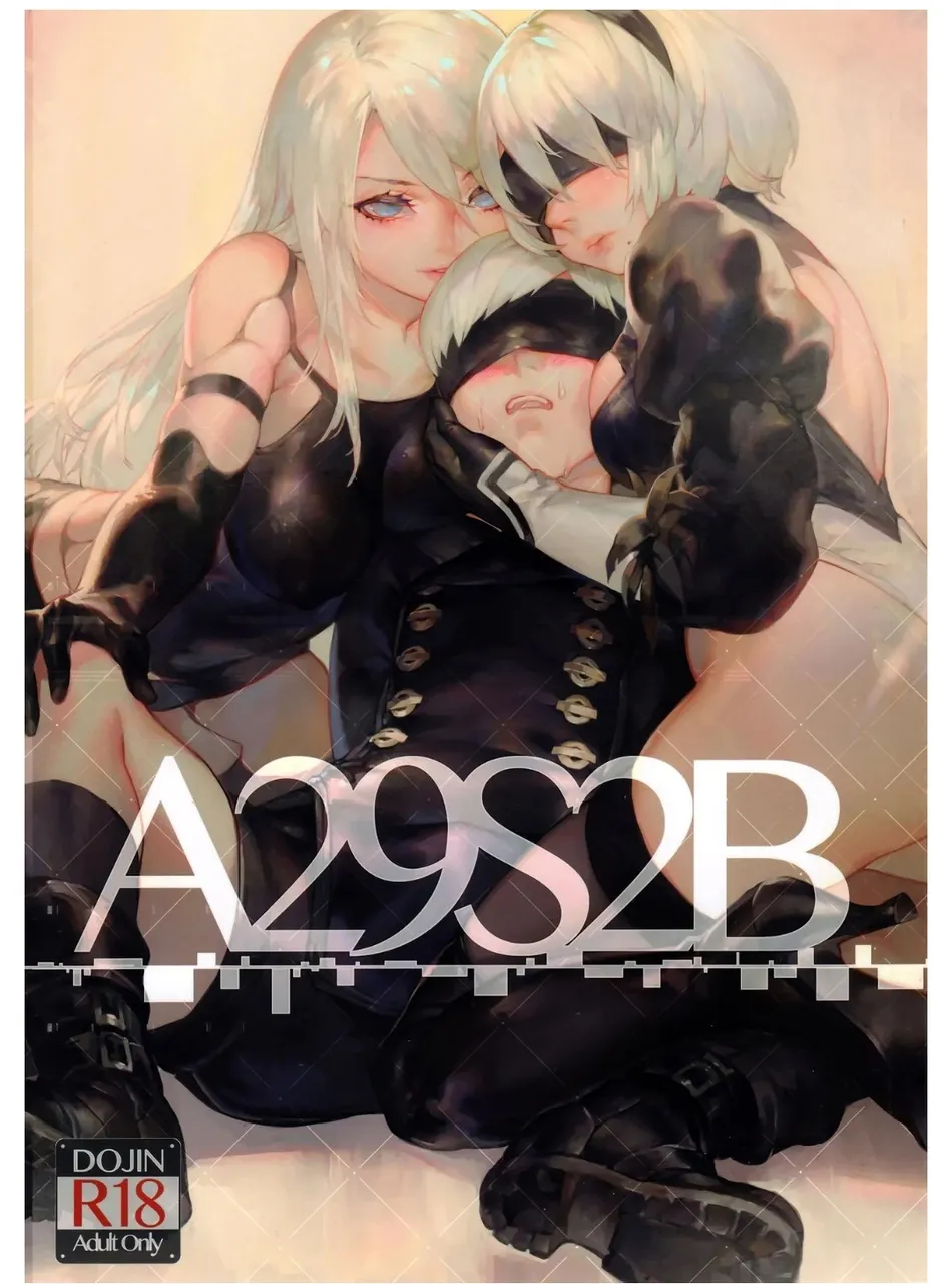 A29S2B
