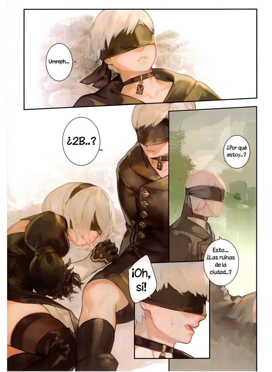 A29S2B